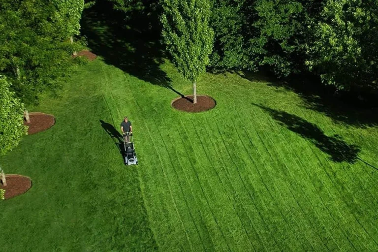 brushless lawn mower