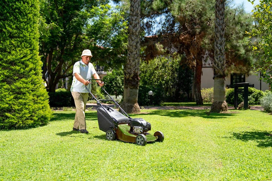 electronic mower